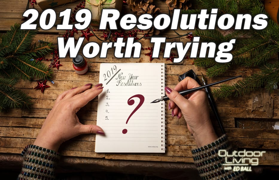 New Years Resolutions by Ed Ball